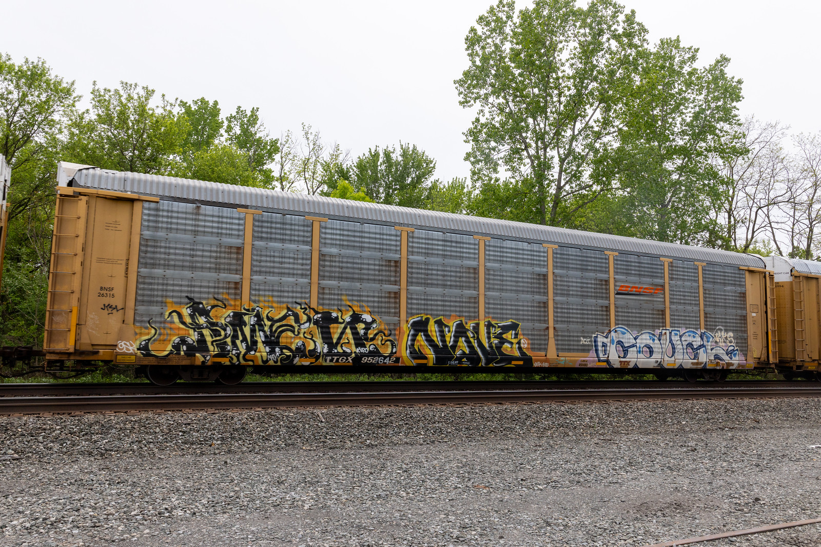 TTGX 952642