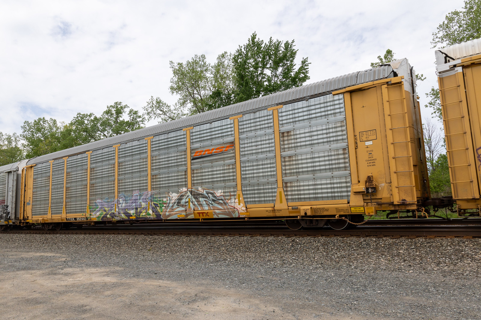 TTGX 952443