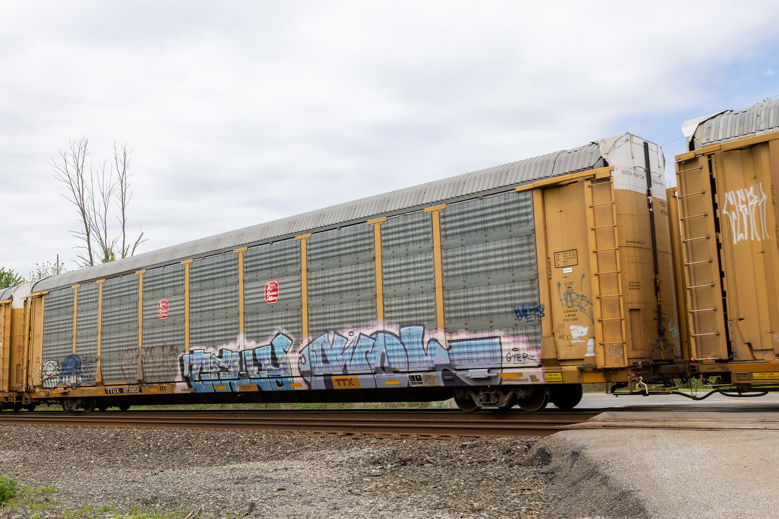 TTGX 973952