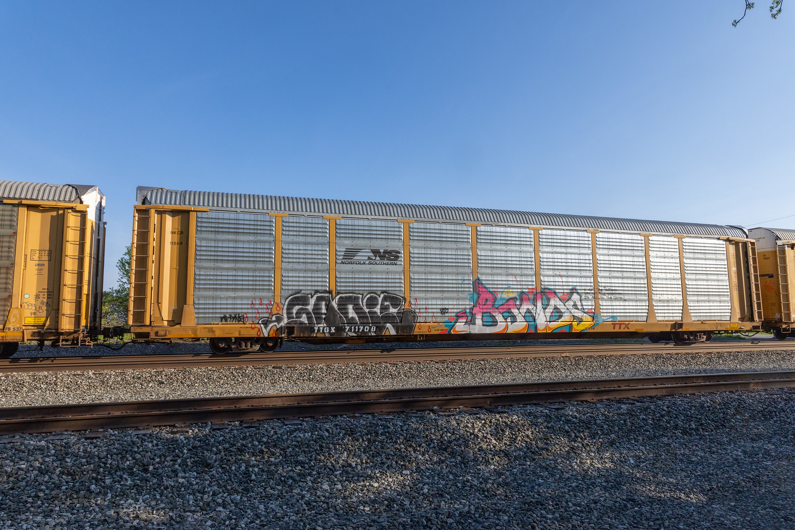 TTGX 711708
