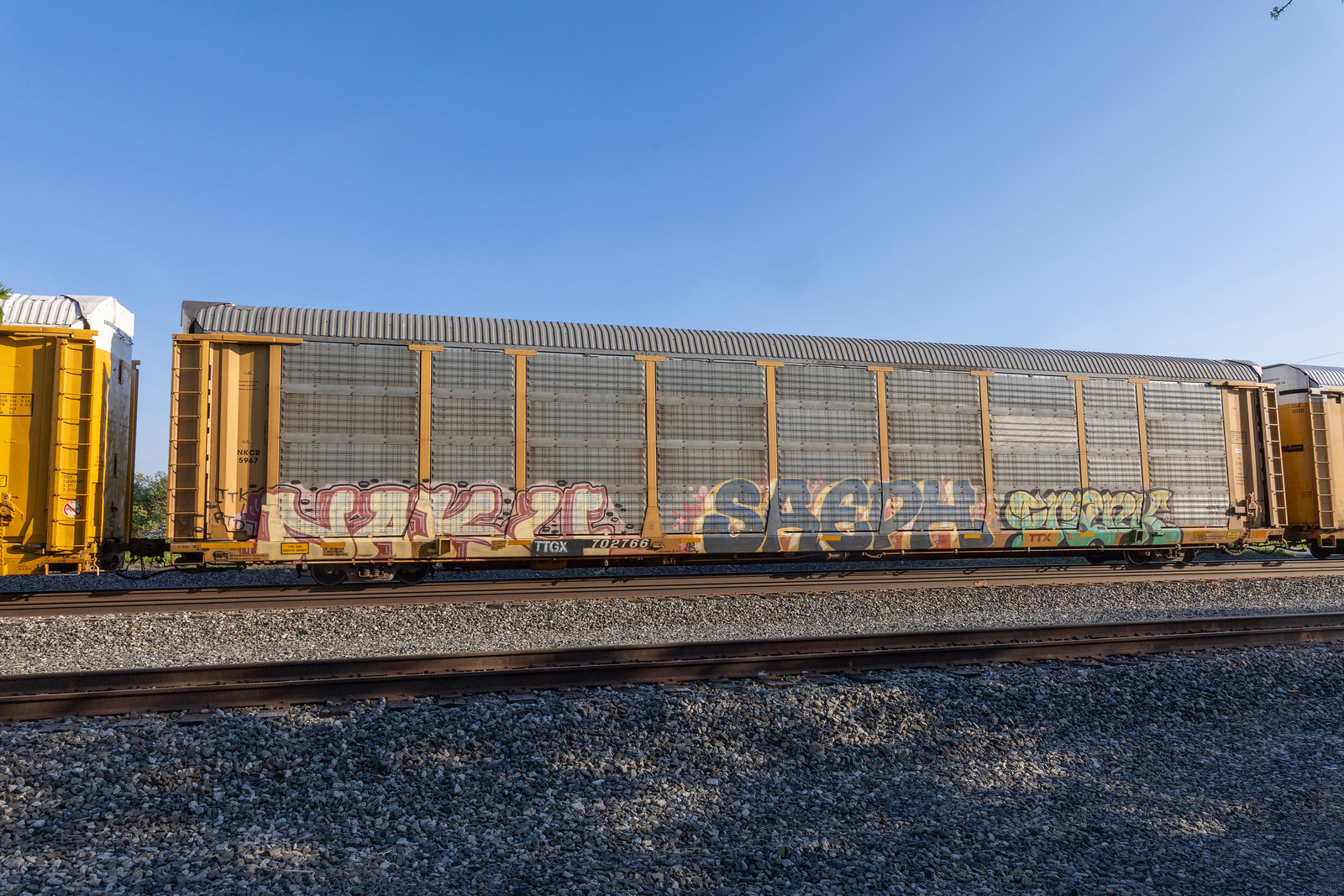 TTGX 702766