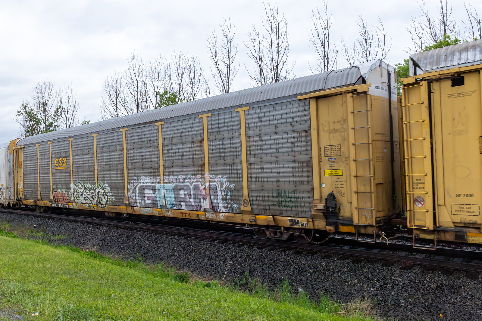TTGX 982618