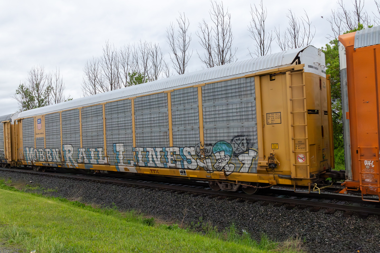 TTGX 993358