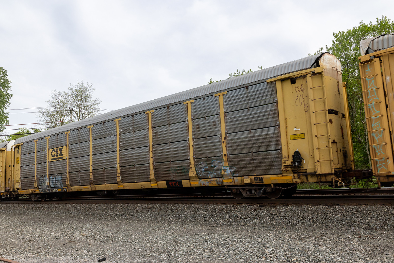 TTGX 979728