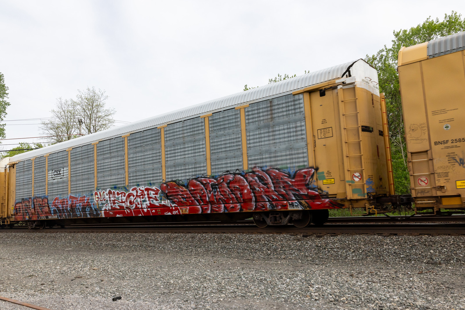 TTGX 965008