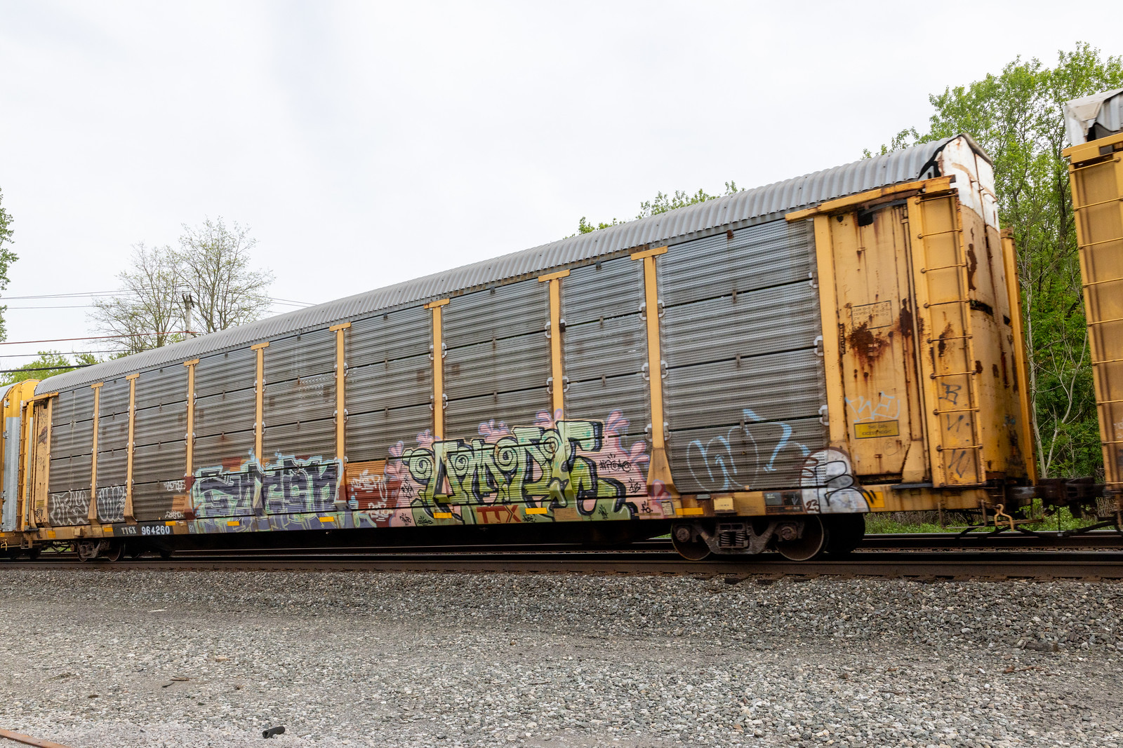 TTGX 964260