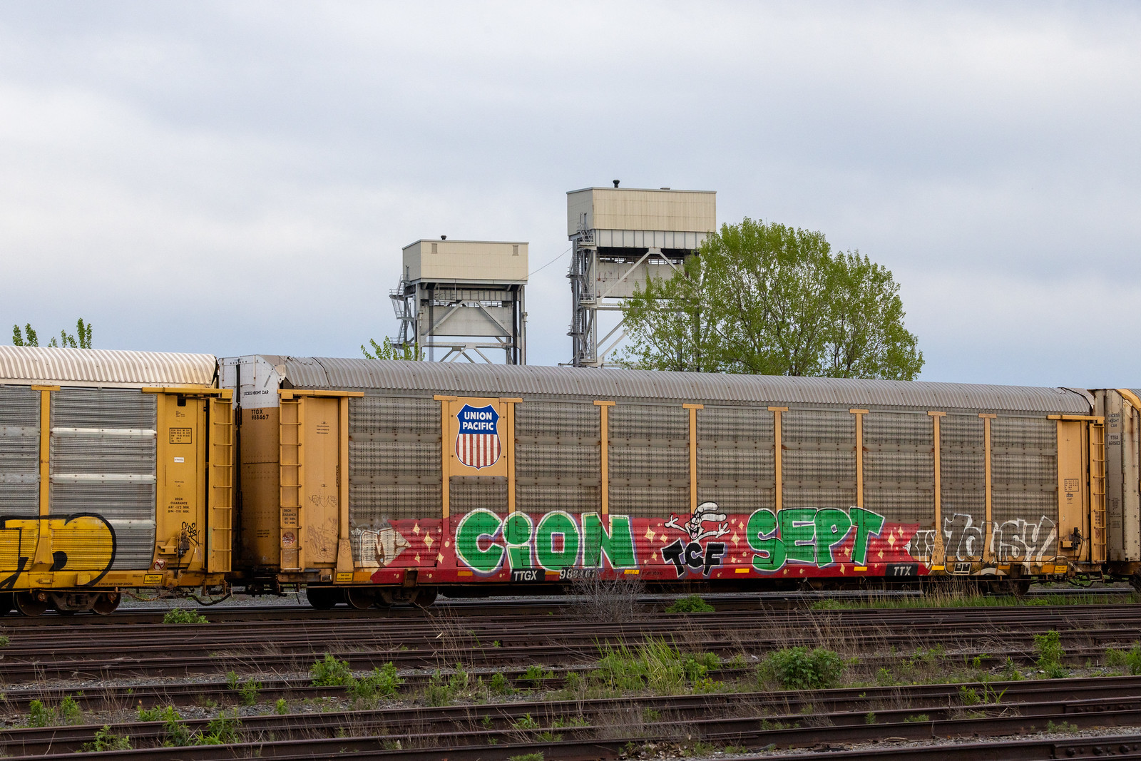 TTGX 988467