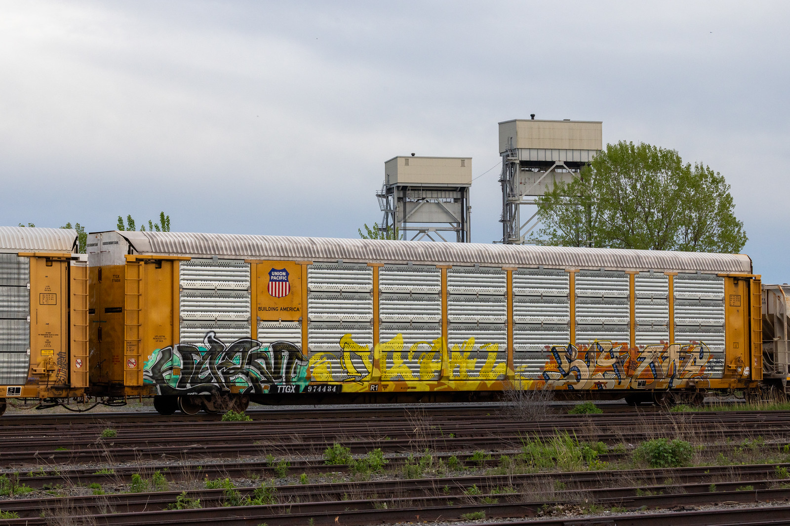 TTGX 974484
