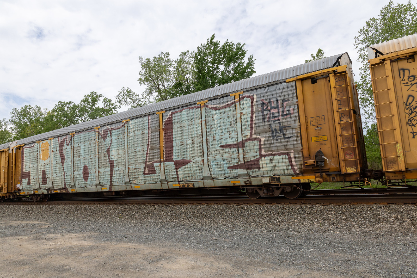 TTGX 980563