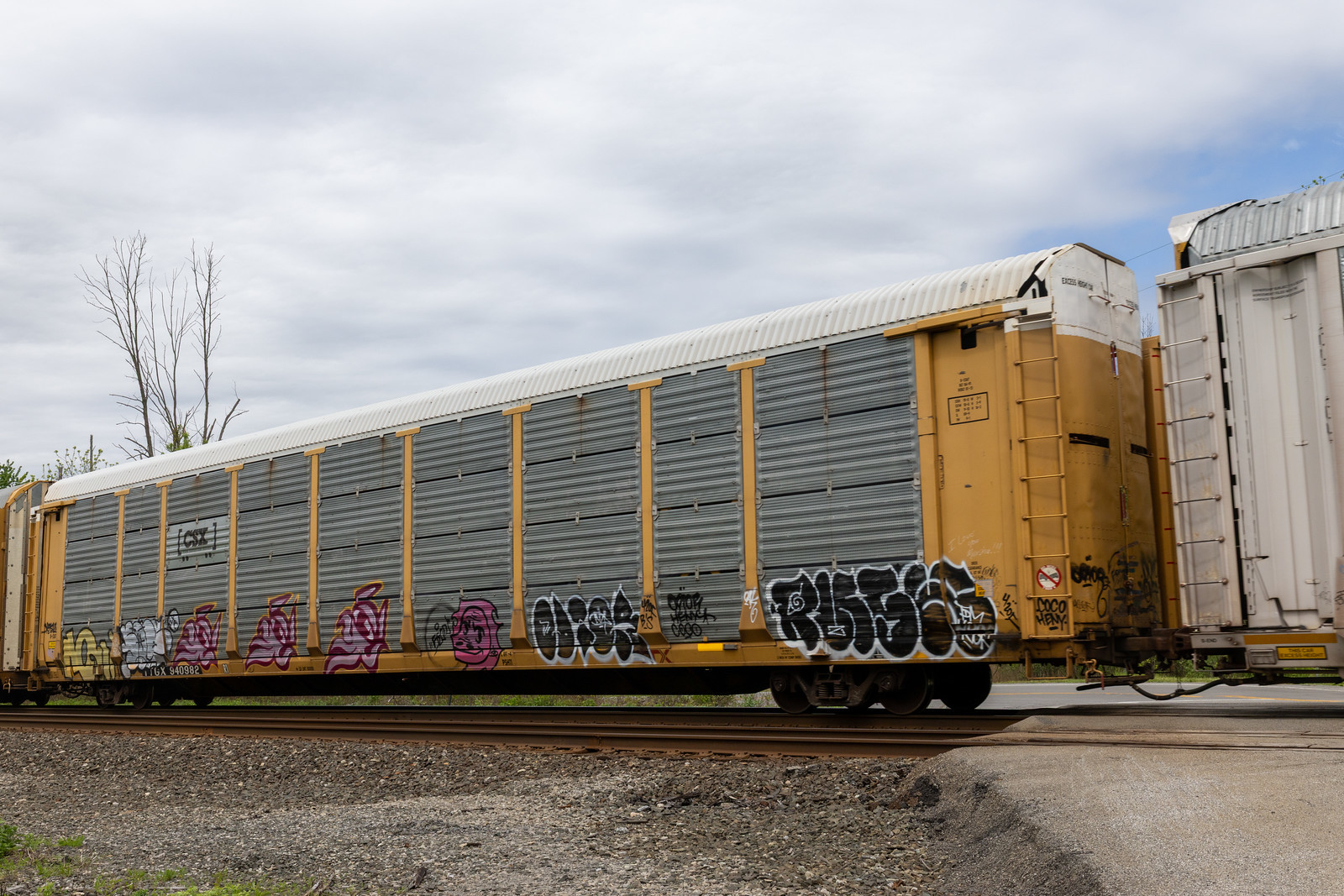 TTGX 940982