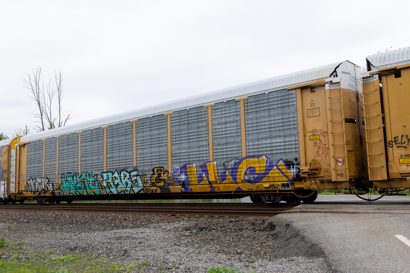 TTGX 974830