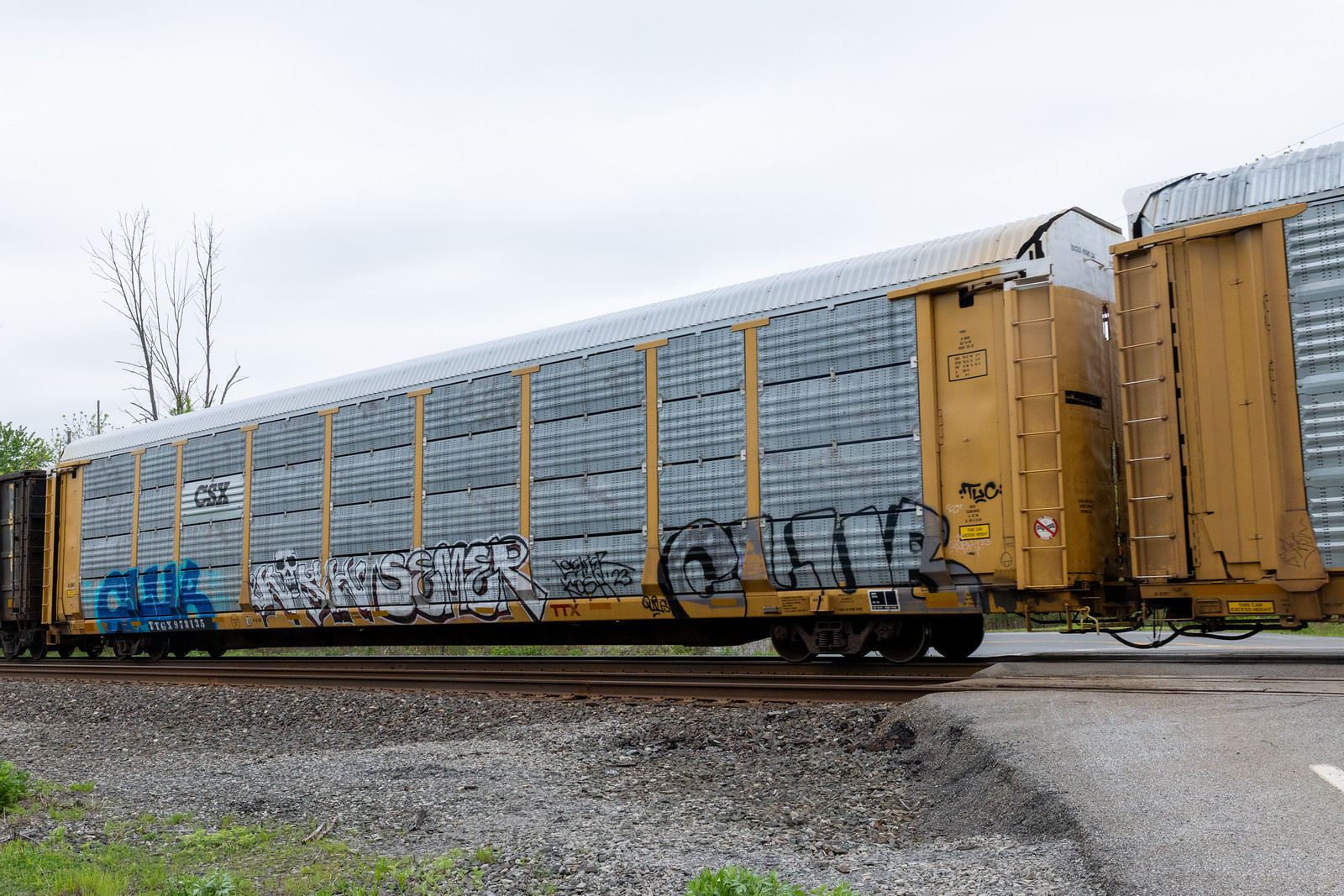 TTGX 978135