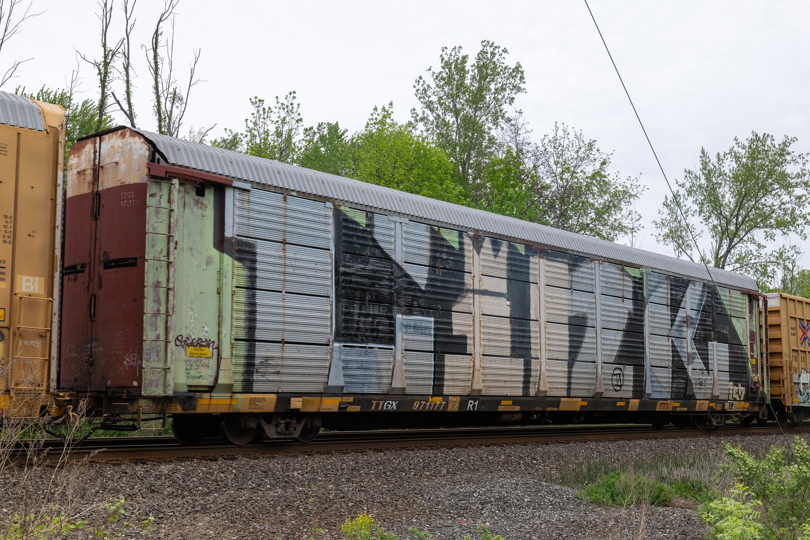 TTGX 971177