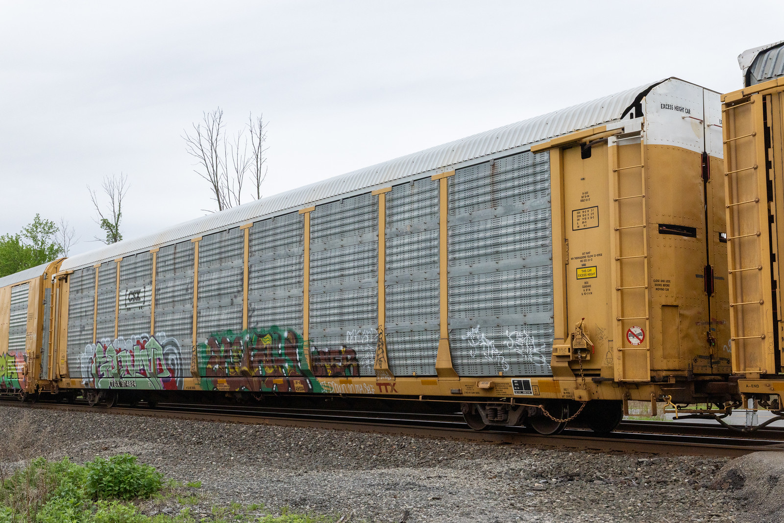 TTGX 974824