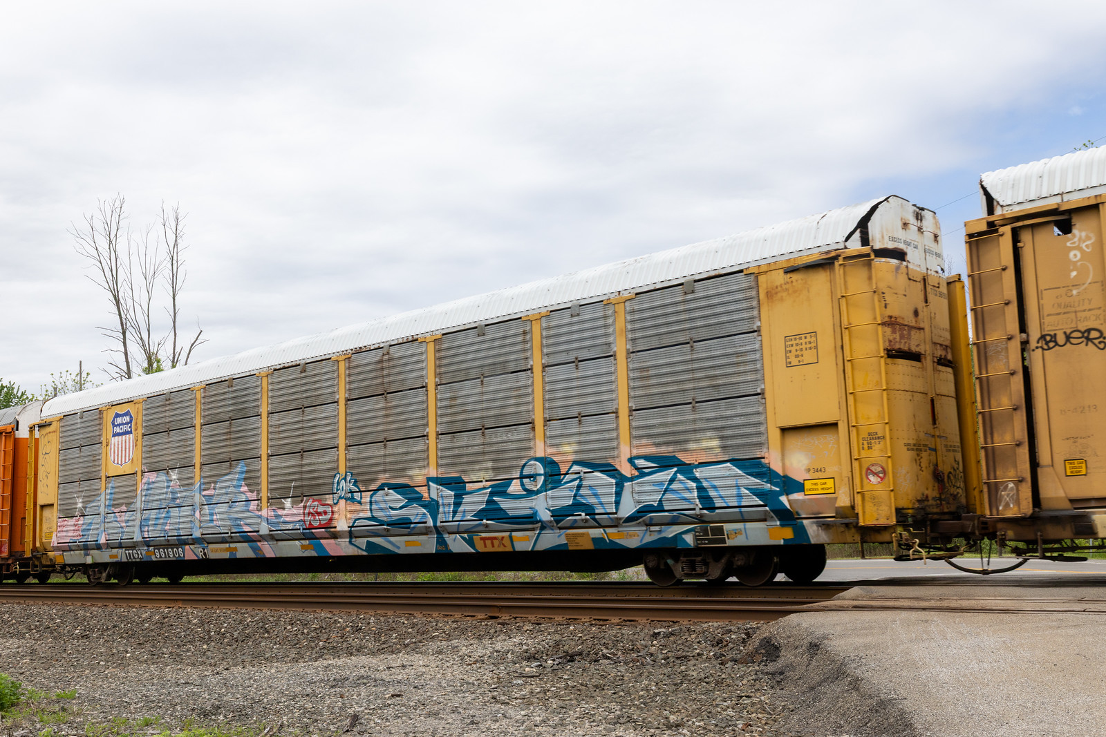 TTGX 961908