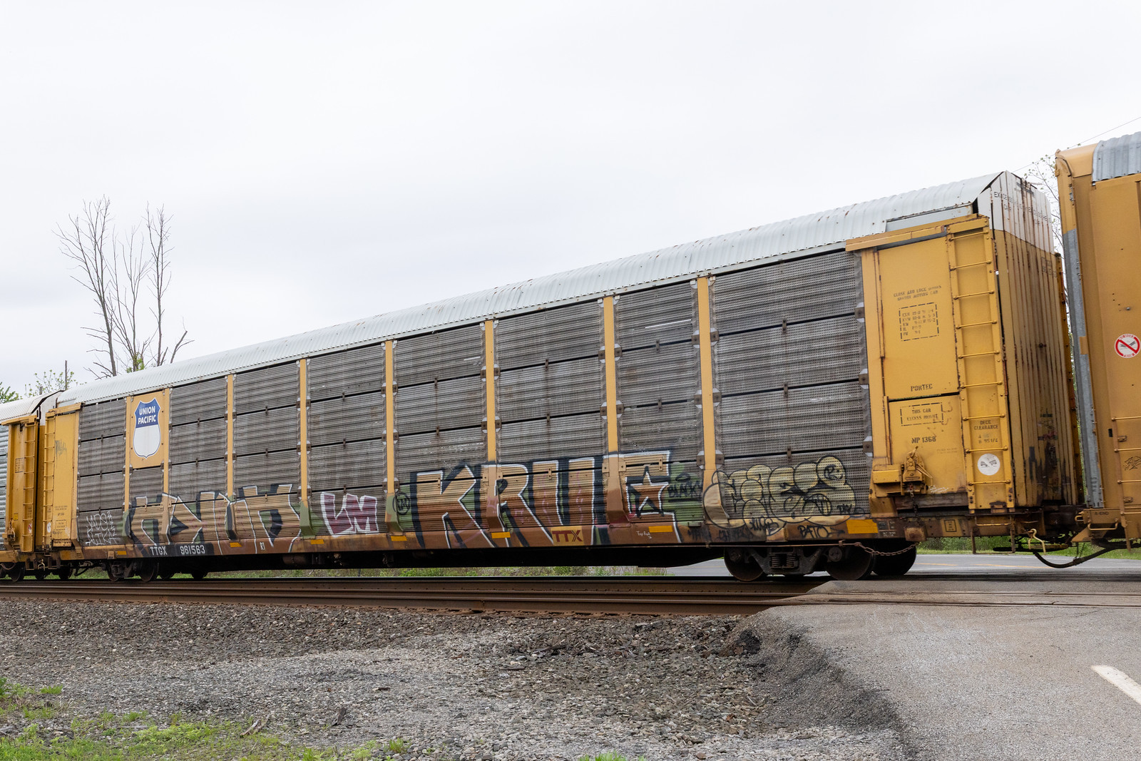 TTGX 961583