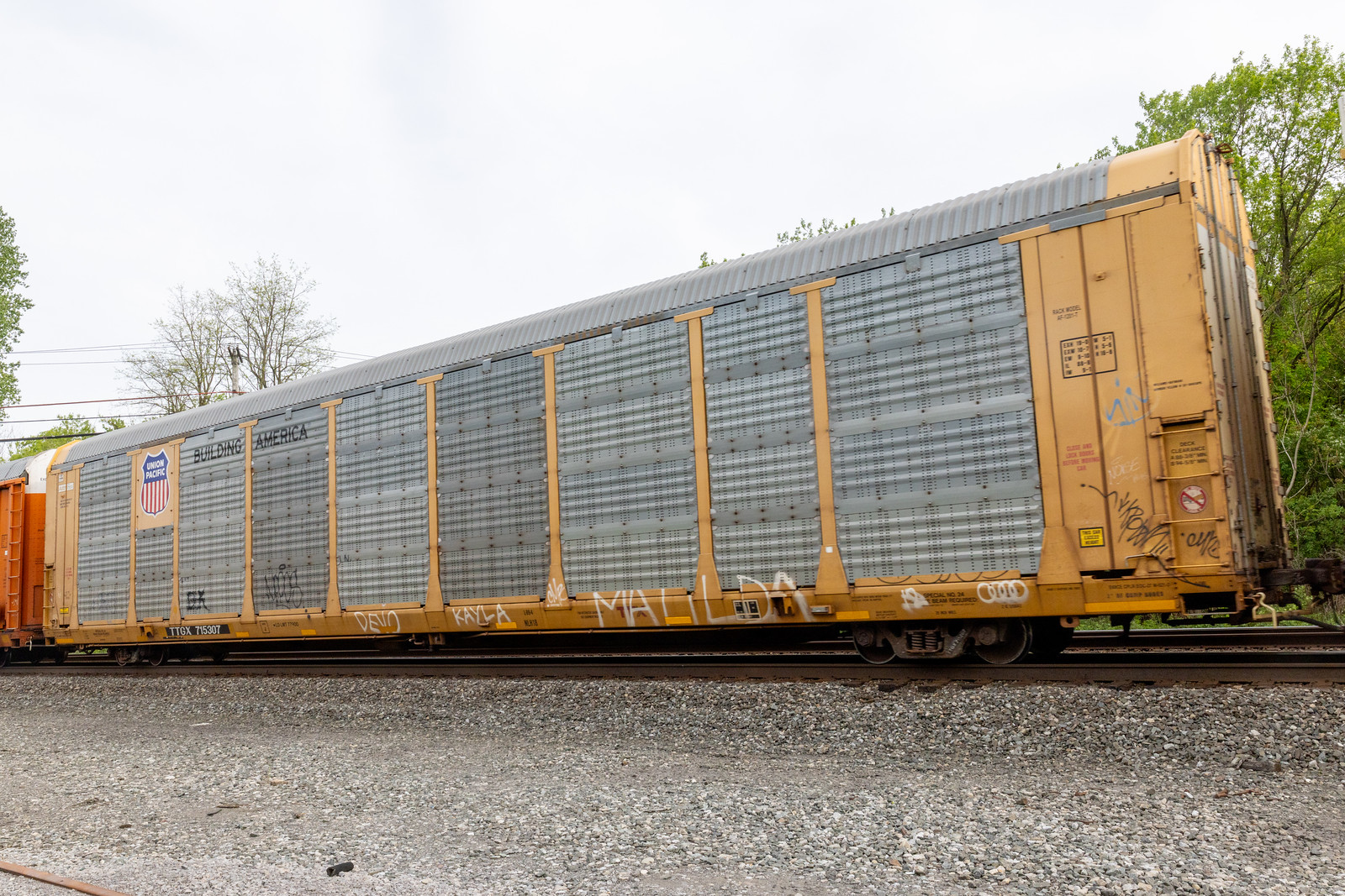 TTGX 715307