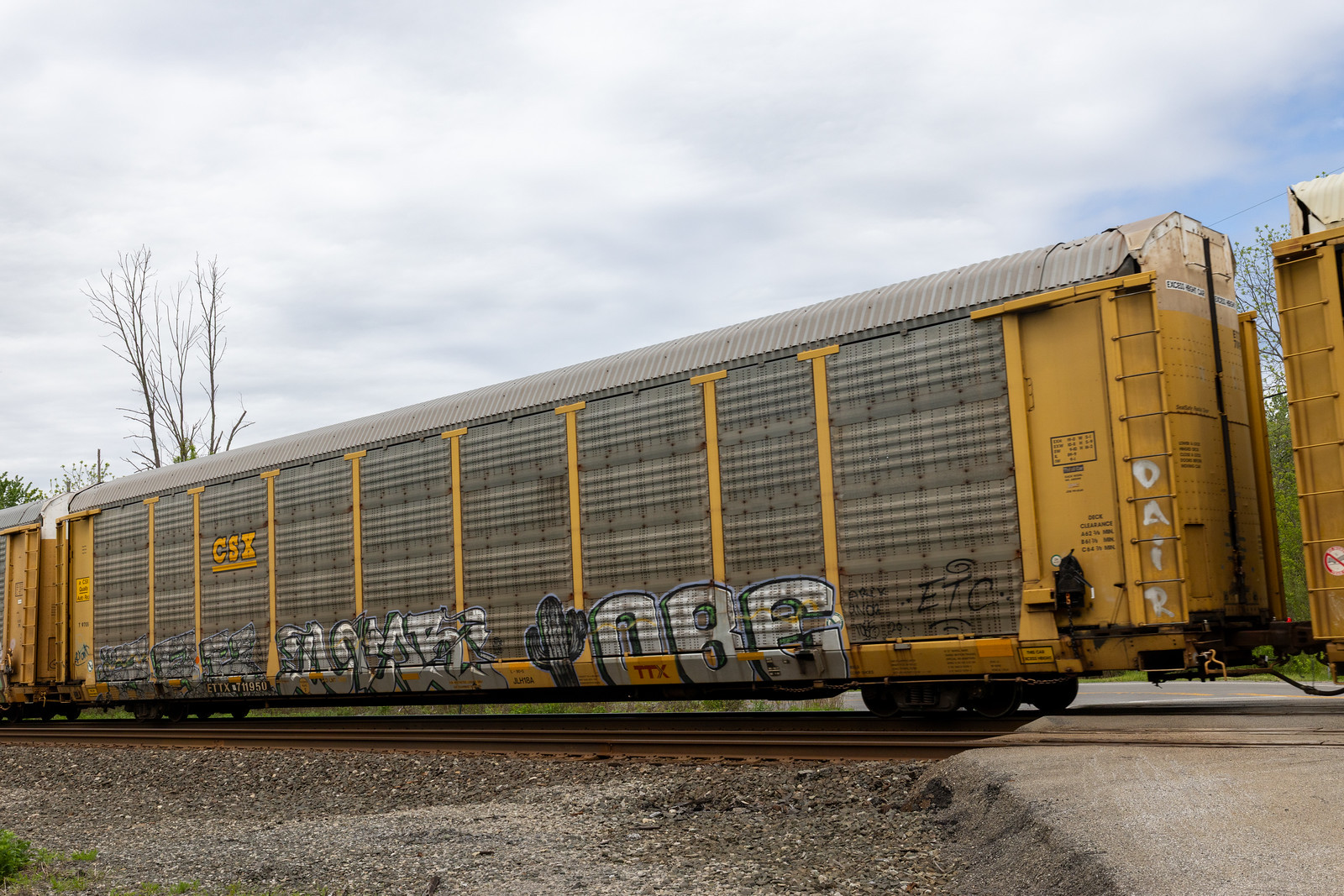 ETTX 711950