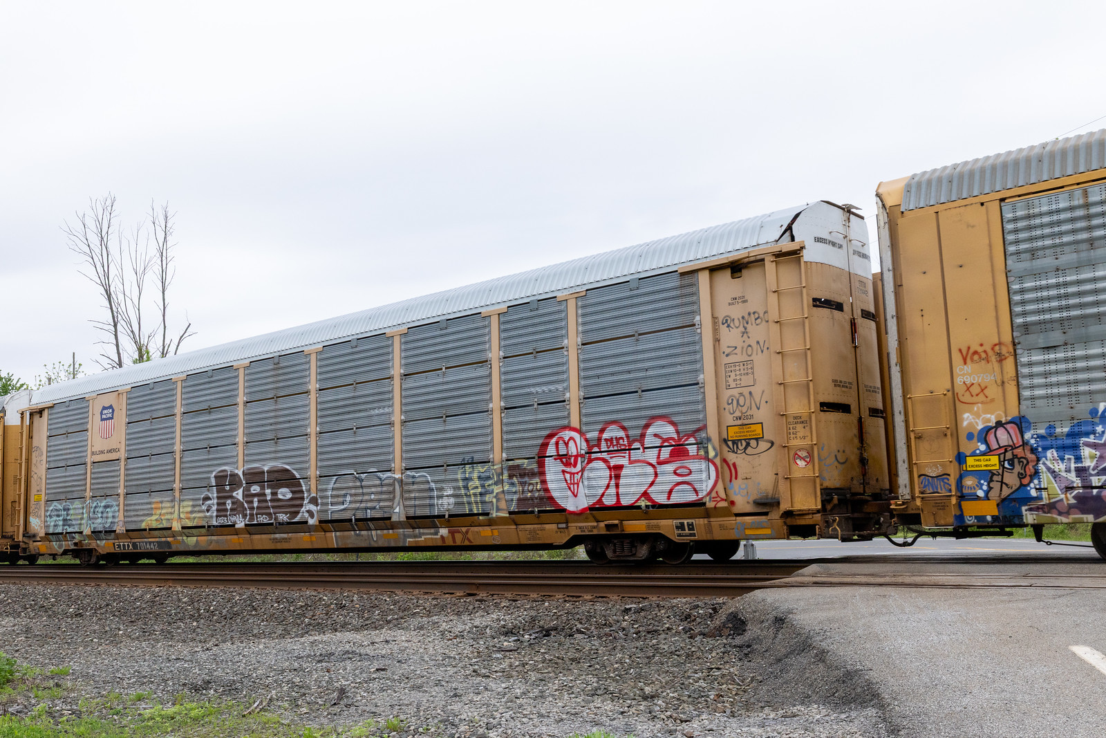 ETTX 701442