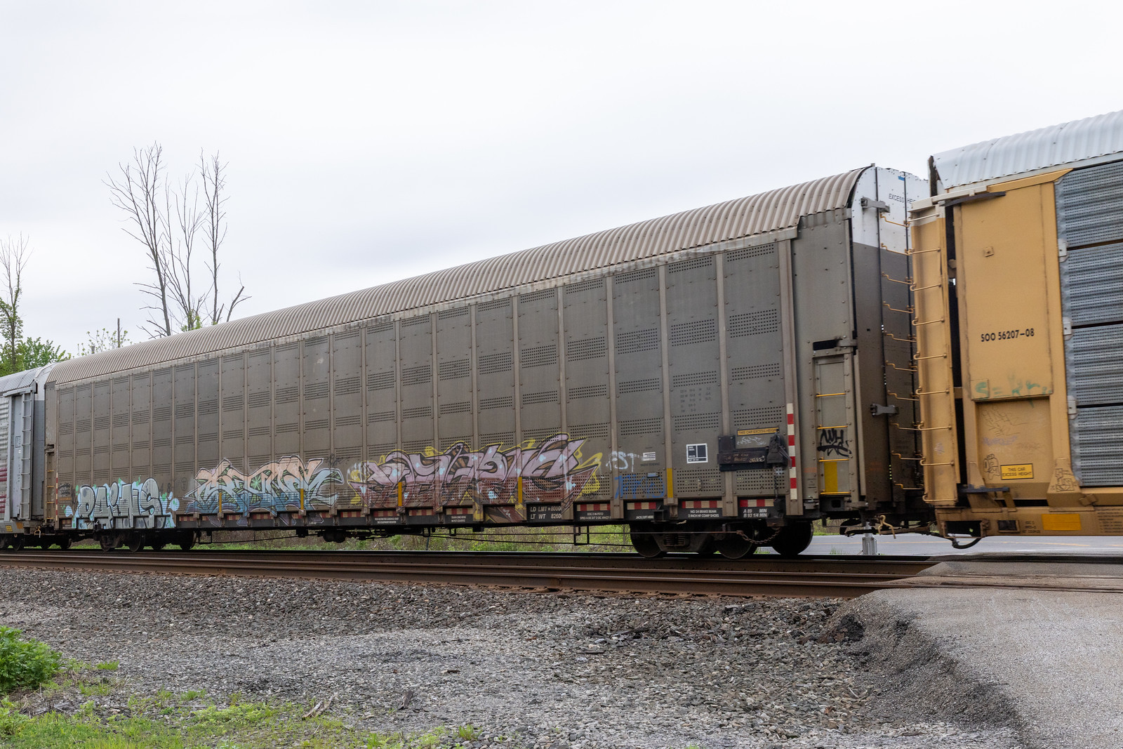 CP 546048