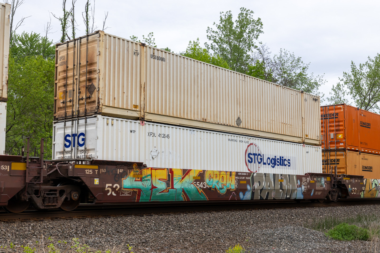 AOK 55484C