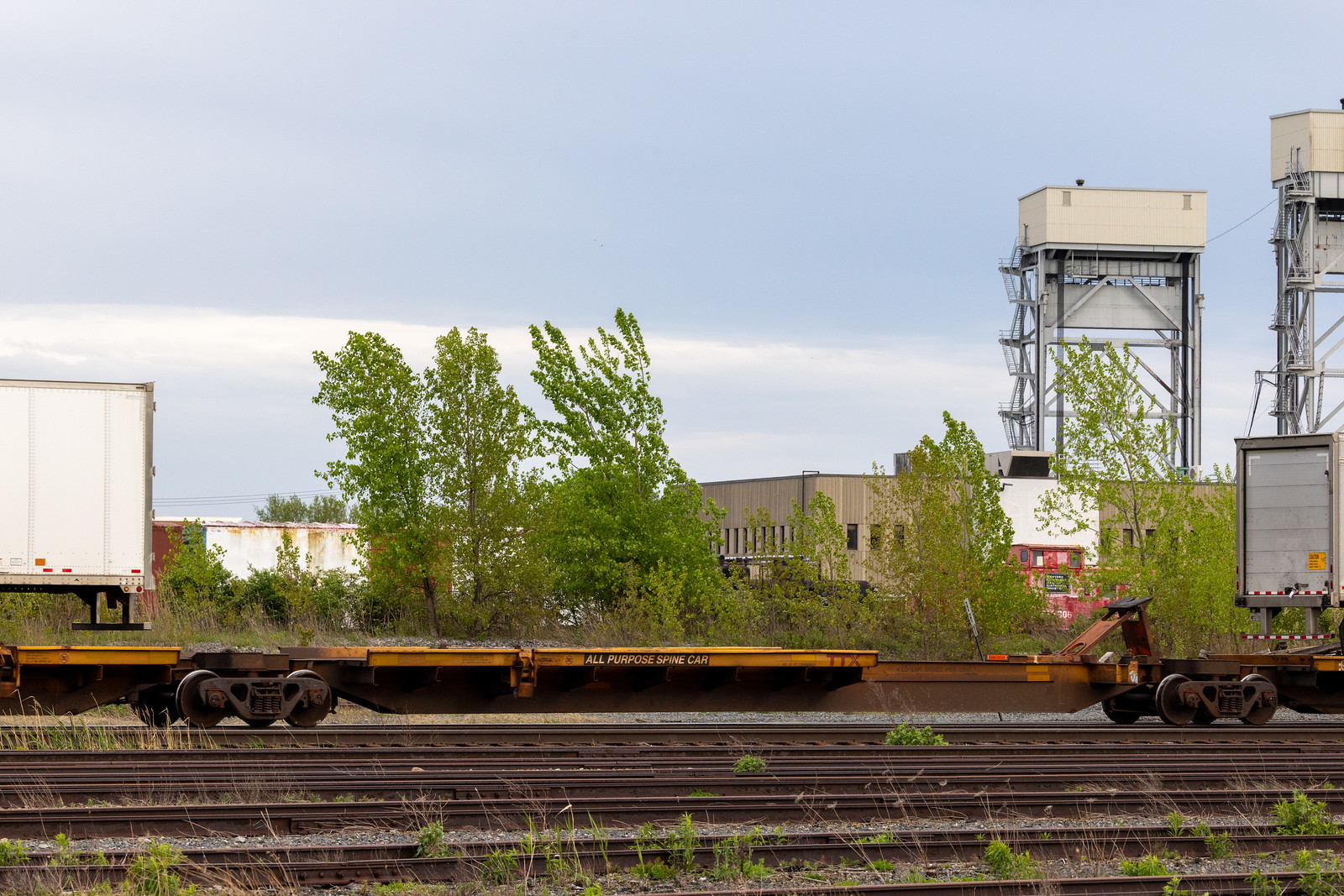 TTRX 552196C