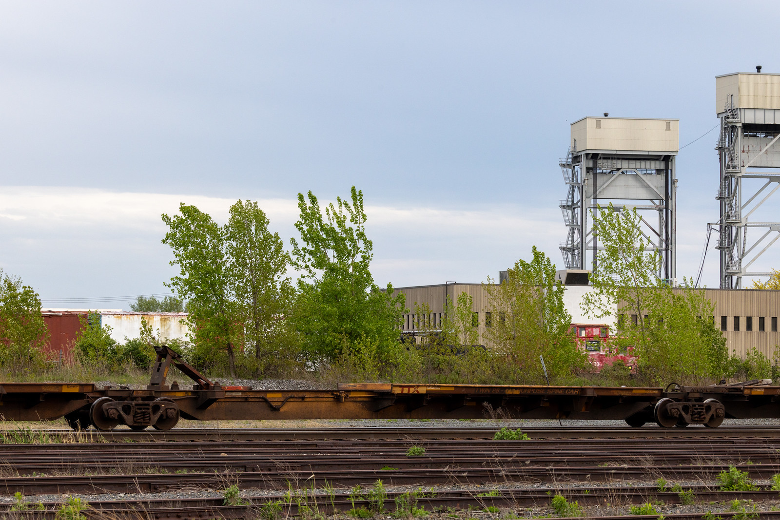 TTRX 360620C