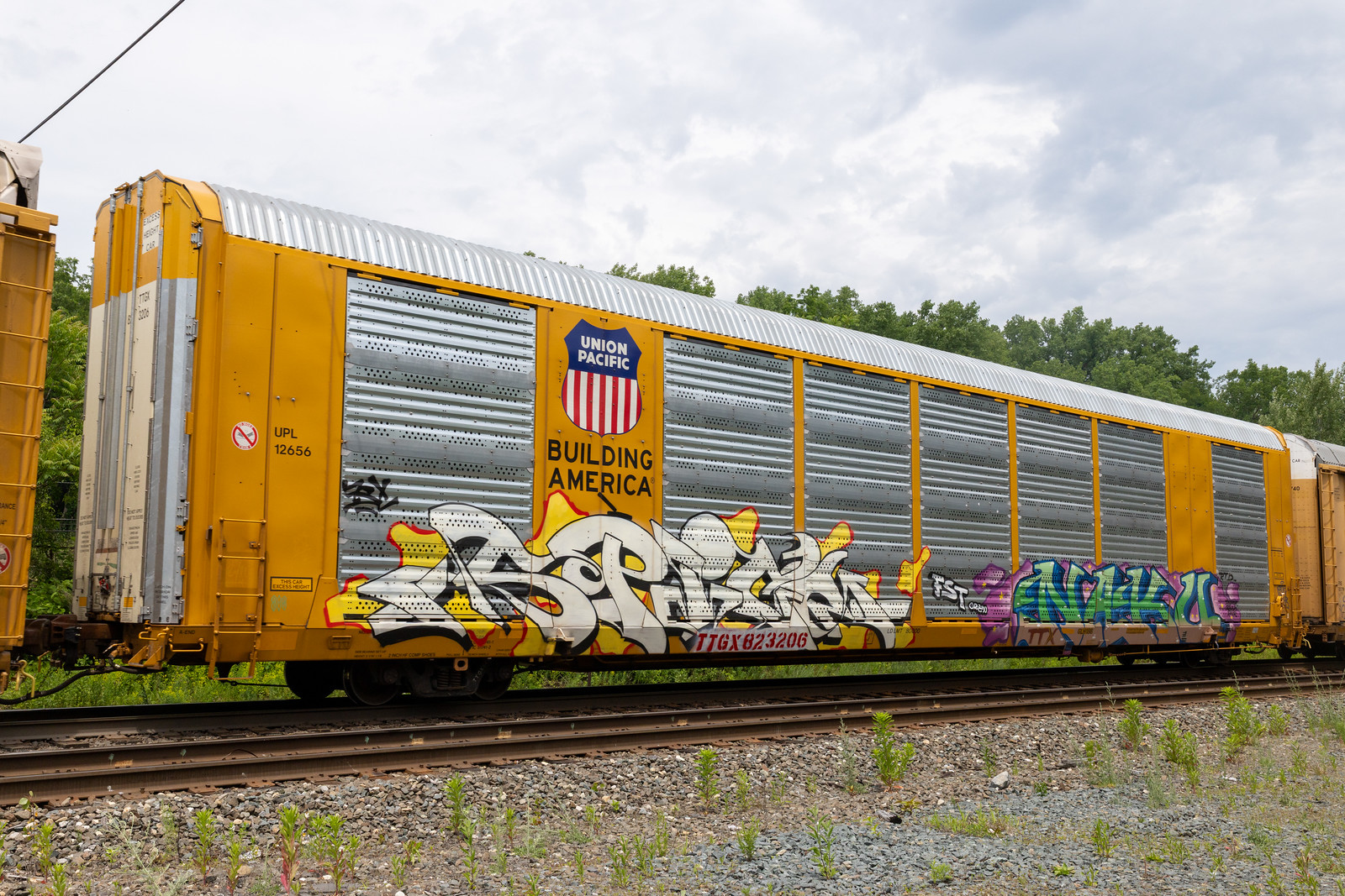 TTGX 823206