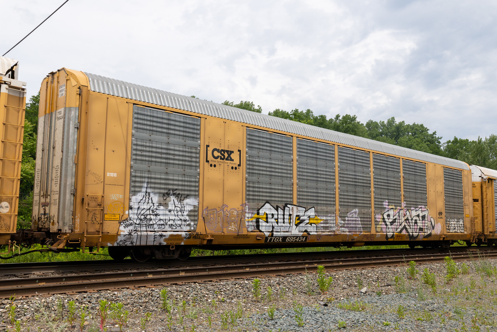 TTGX 695434