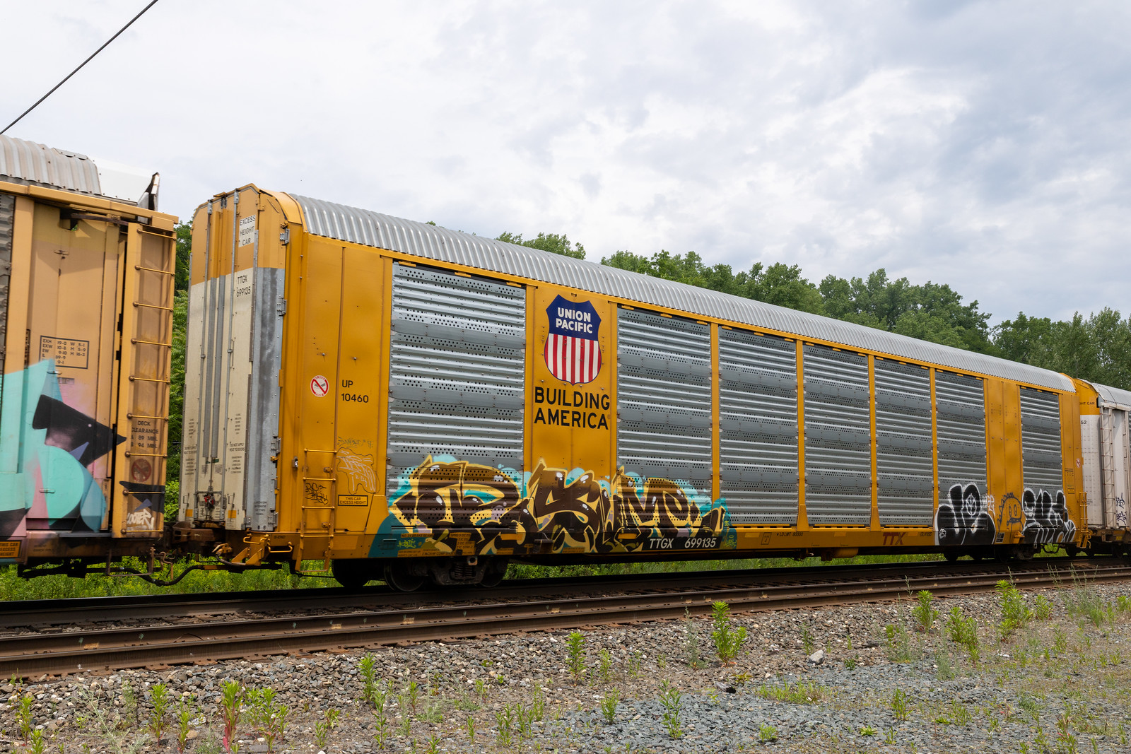 TTGX 699135