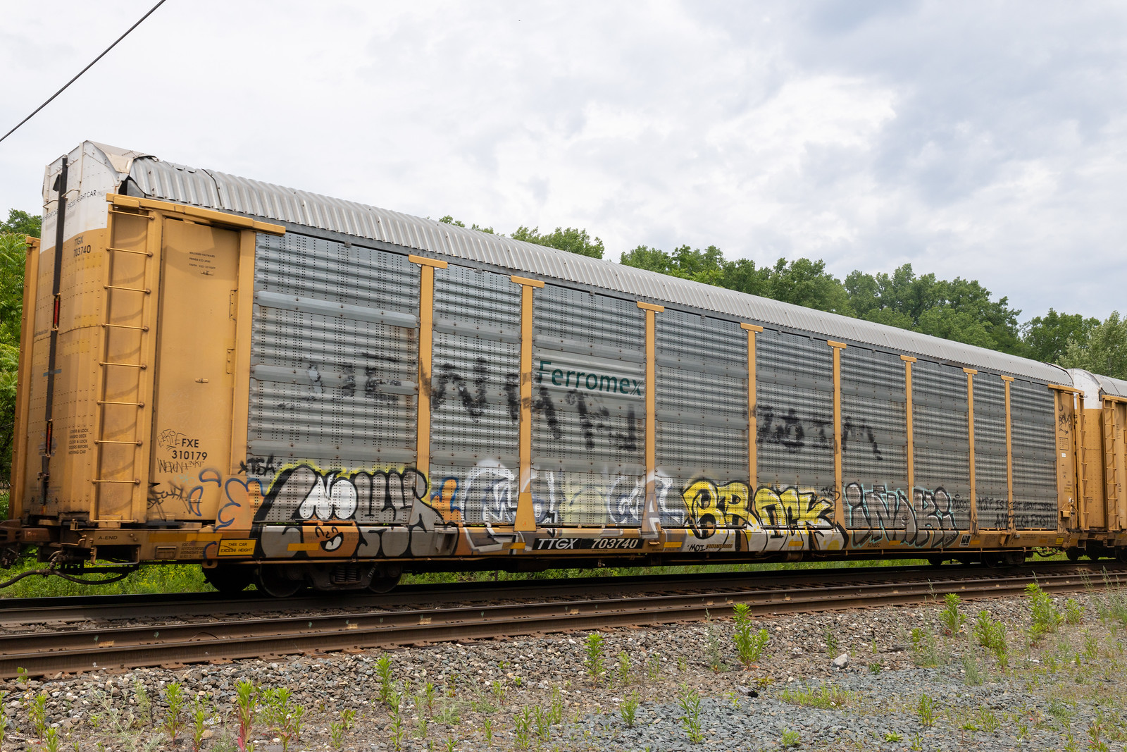 TTGX 703740