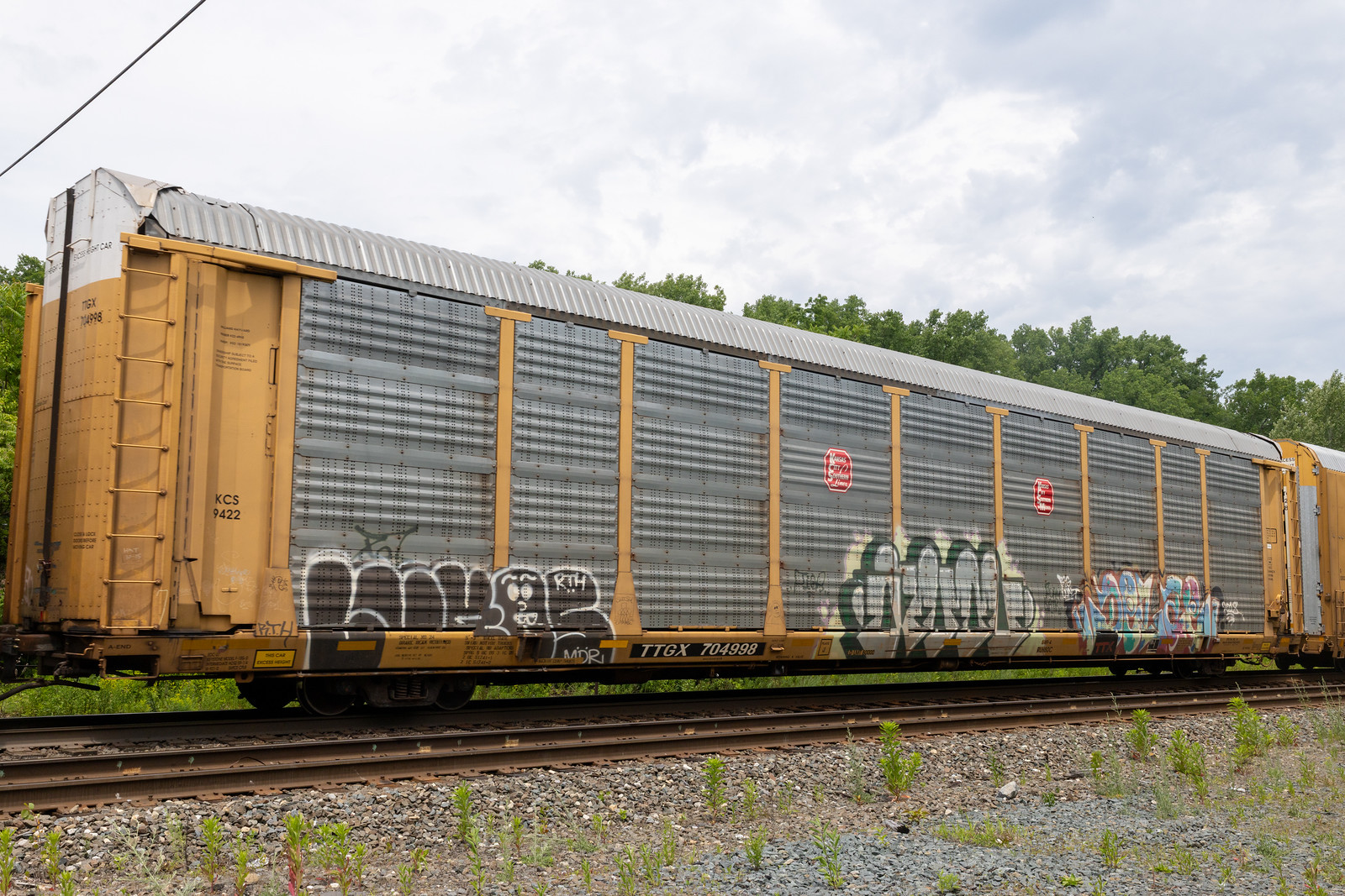 TTGX 704998