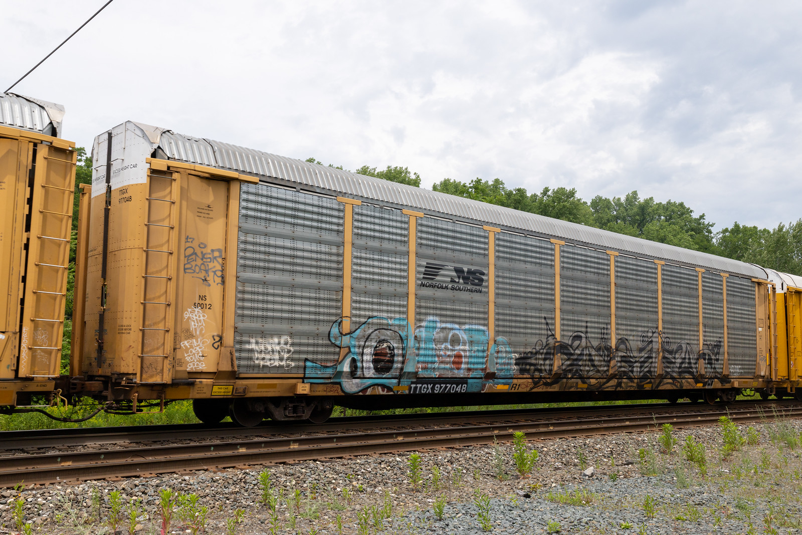 TTGX 977048
