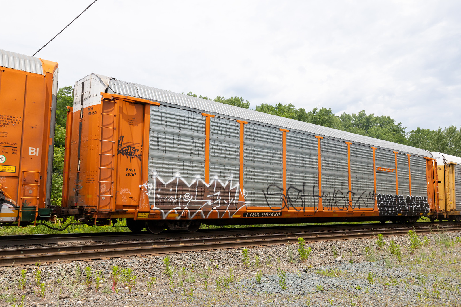 TTGX 997480