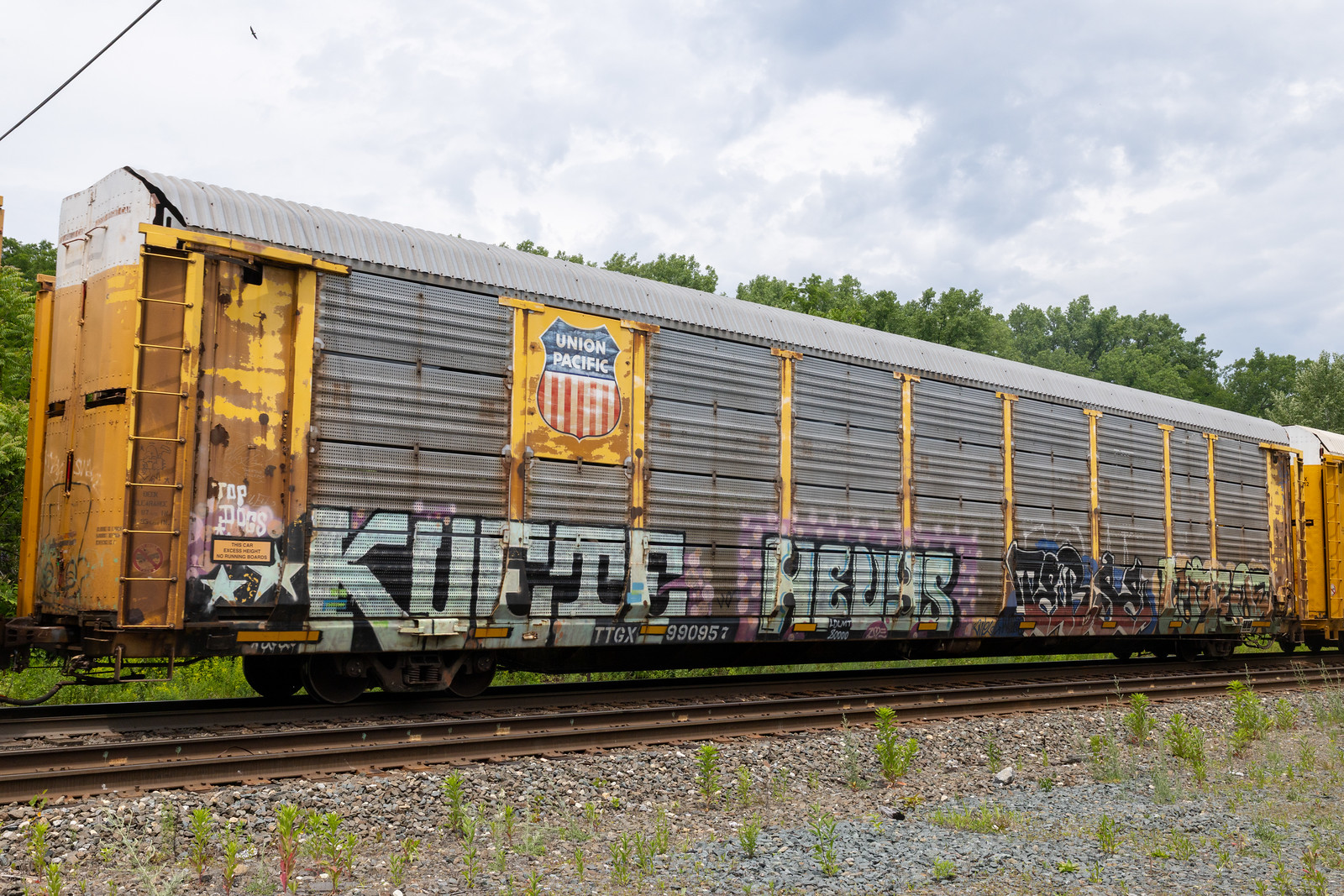TTGX 990957