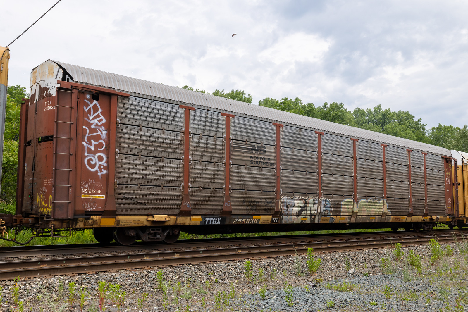 TTGX 255836