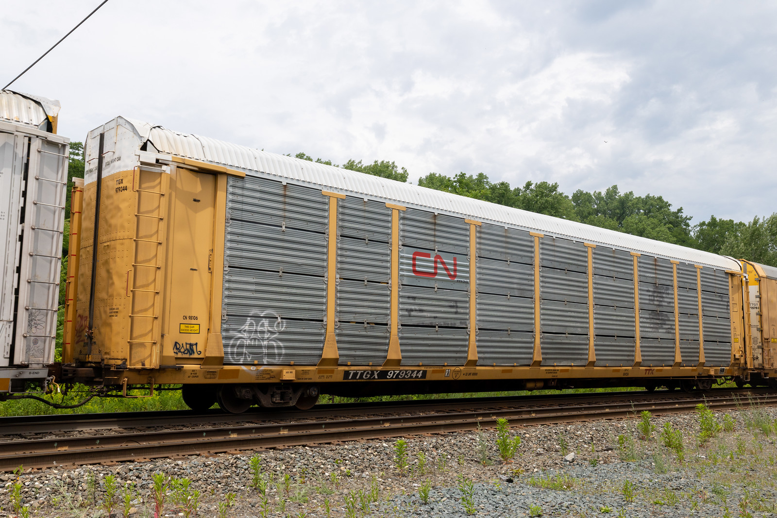 TTGX 979344