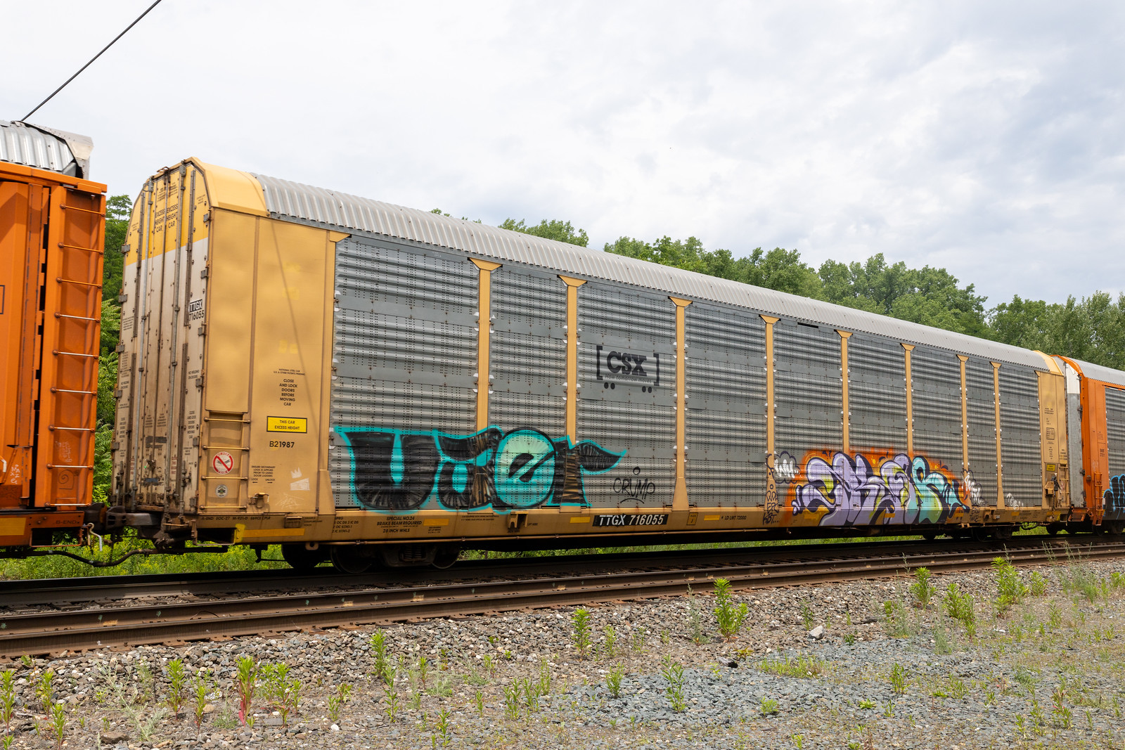 TTGX 716055
