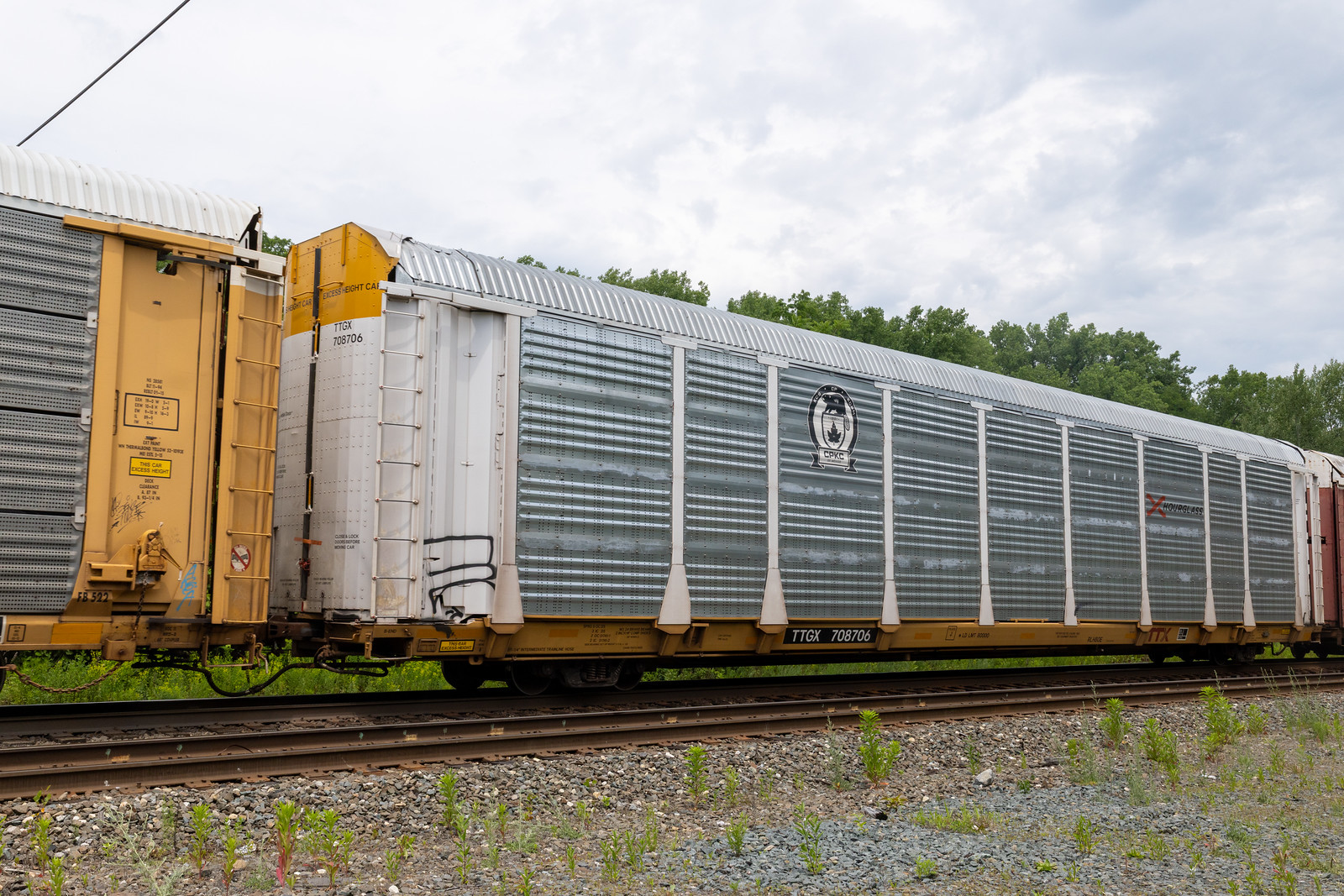 TTGX 708706