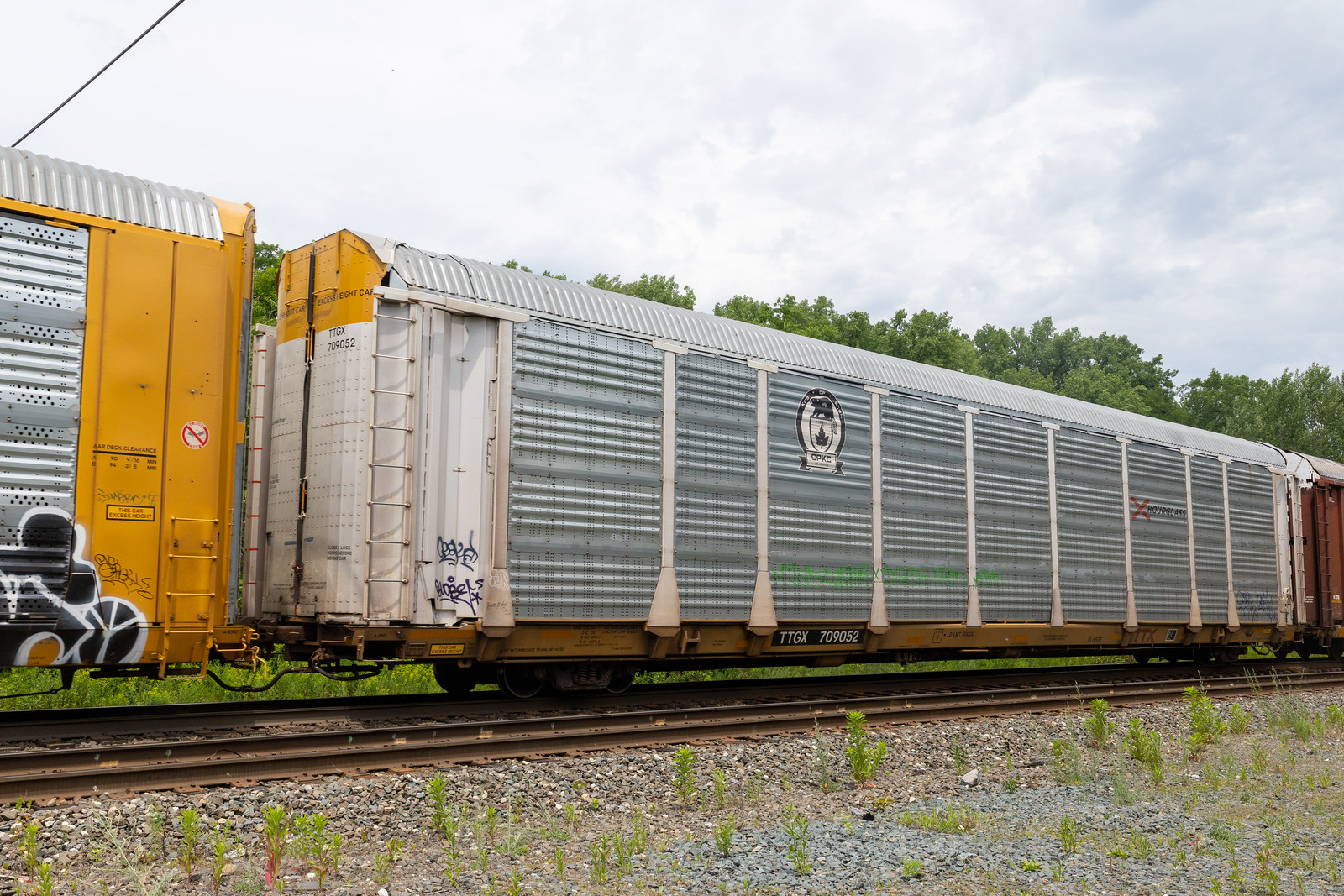 TTGX 709052