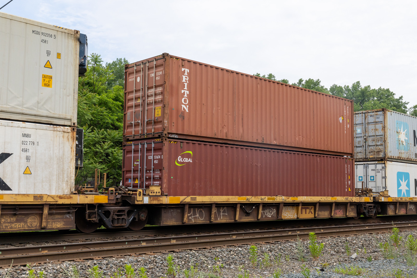 DTTX 62446C