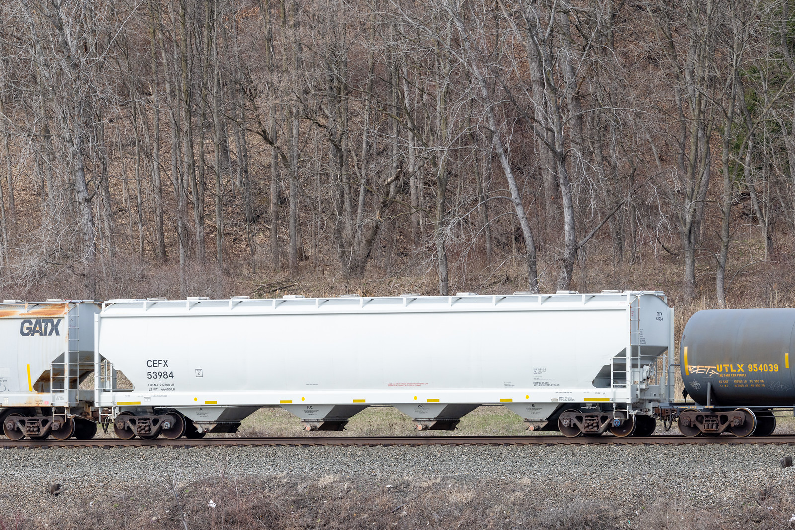 CEFX 53984
