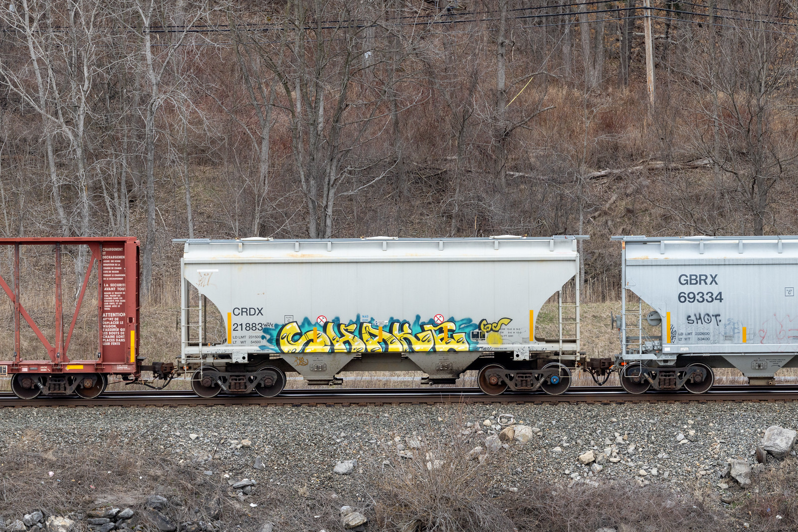 CRDX 21883