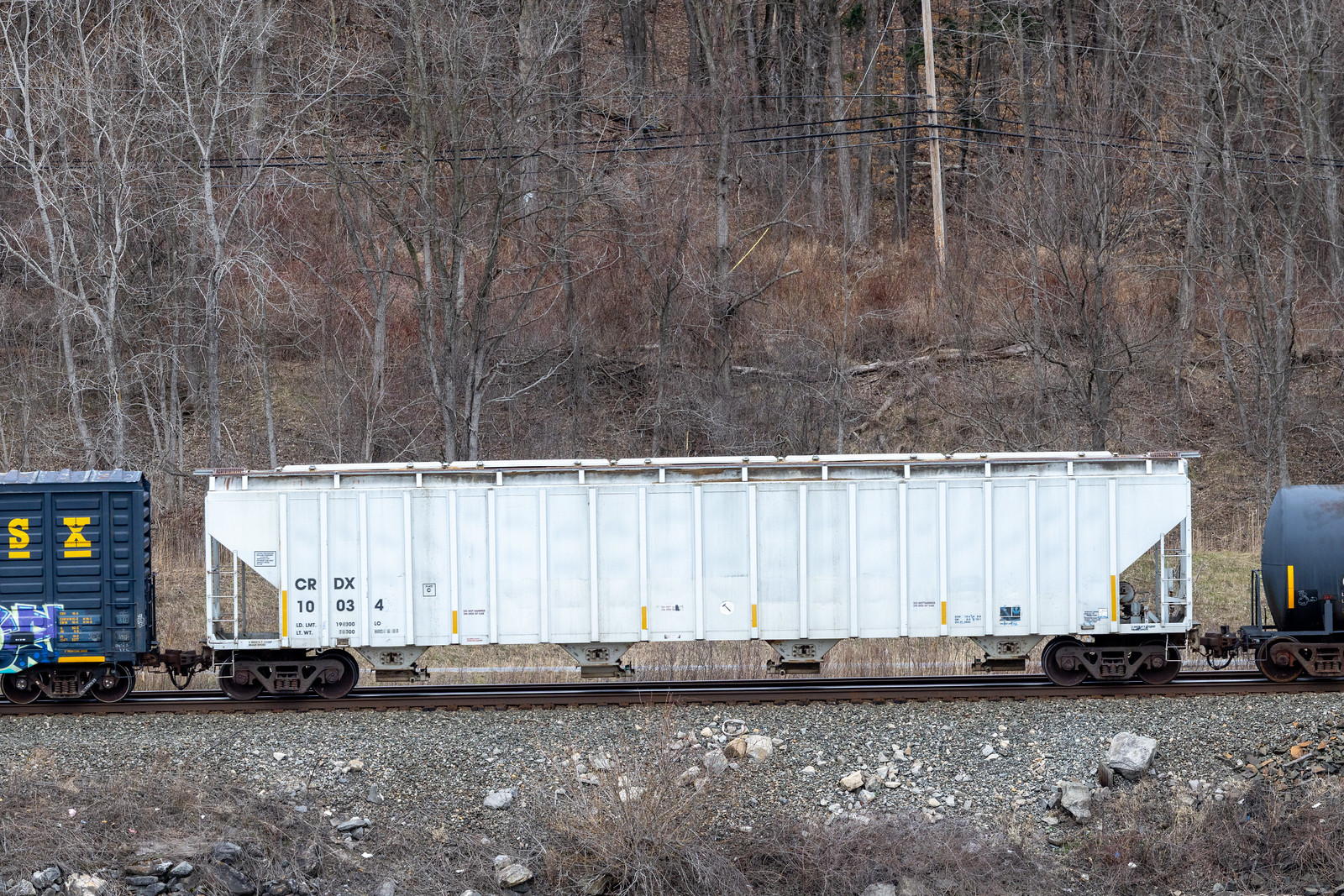 CRDX 10034