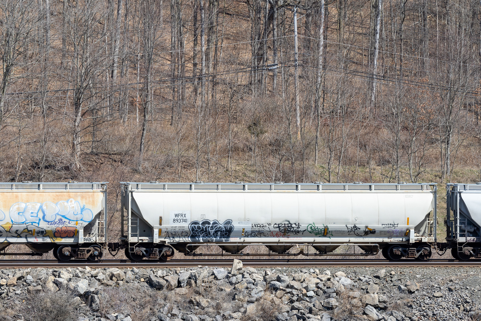 WFRX 893741