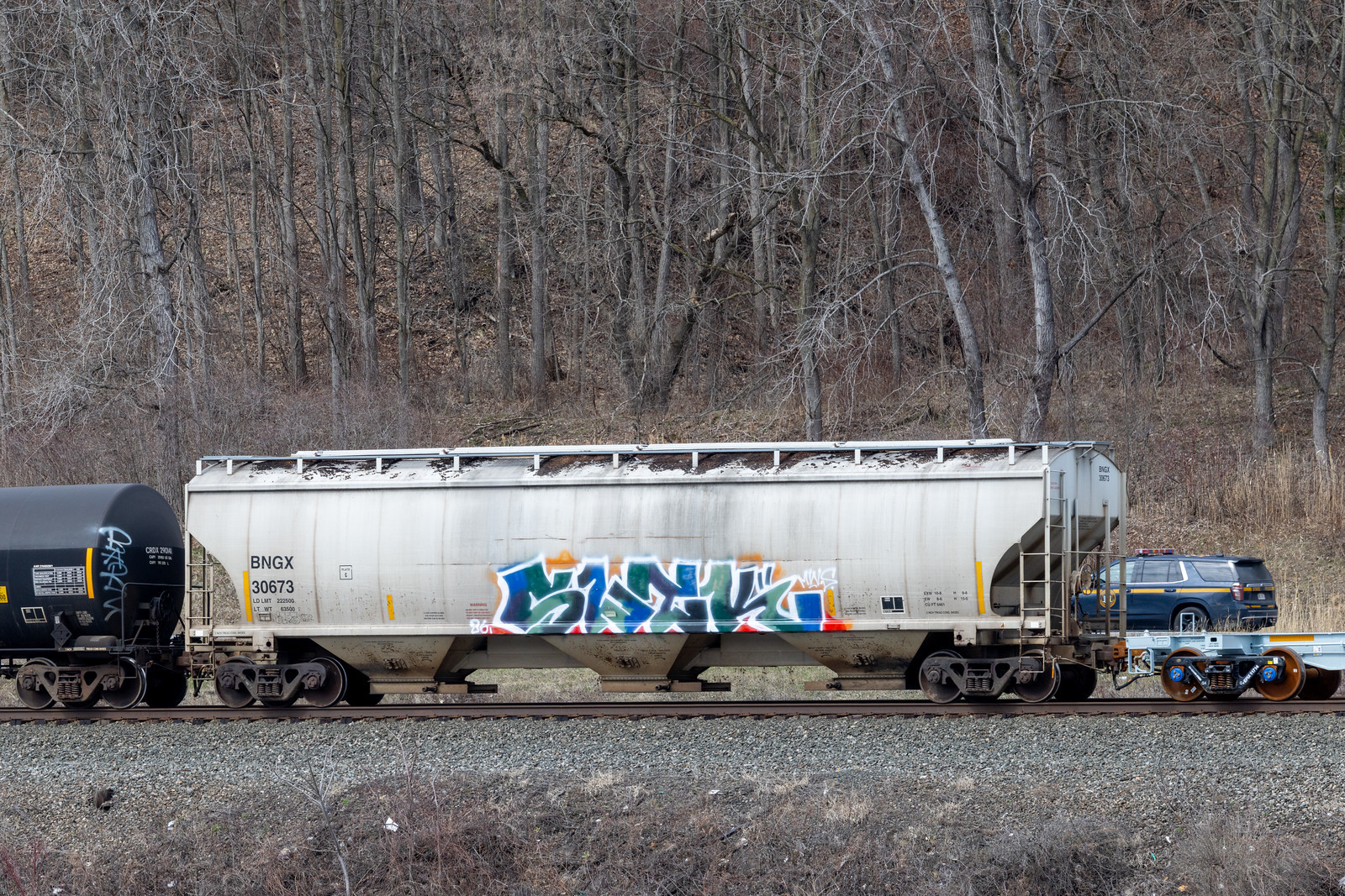 BNGX 30673
