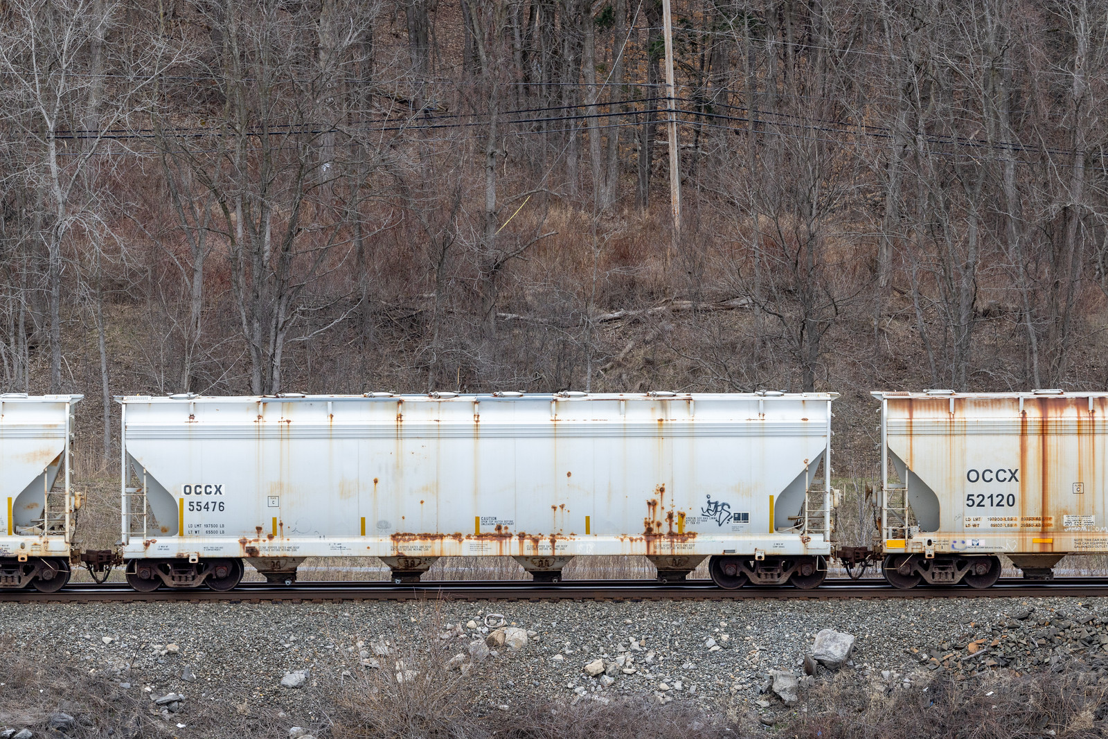OCCX 55476