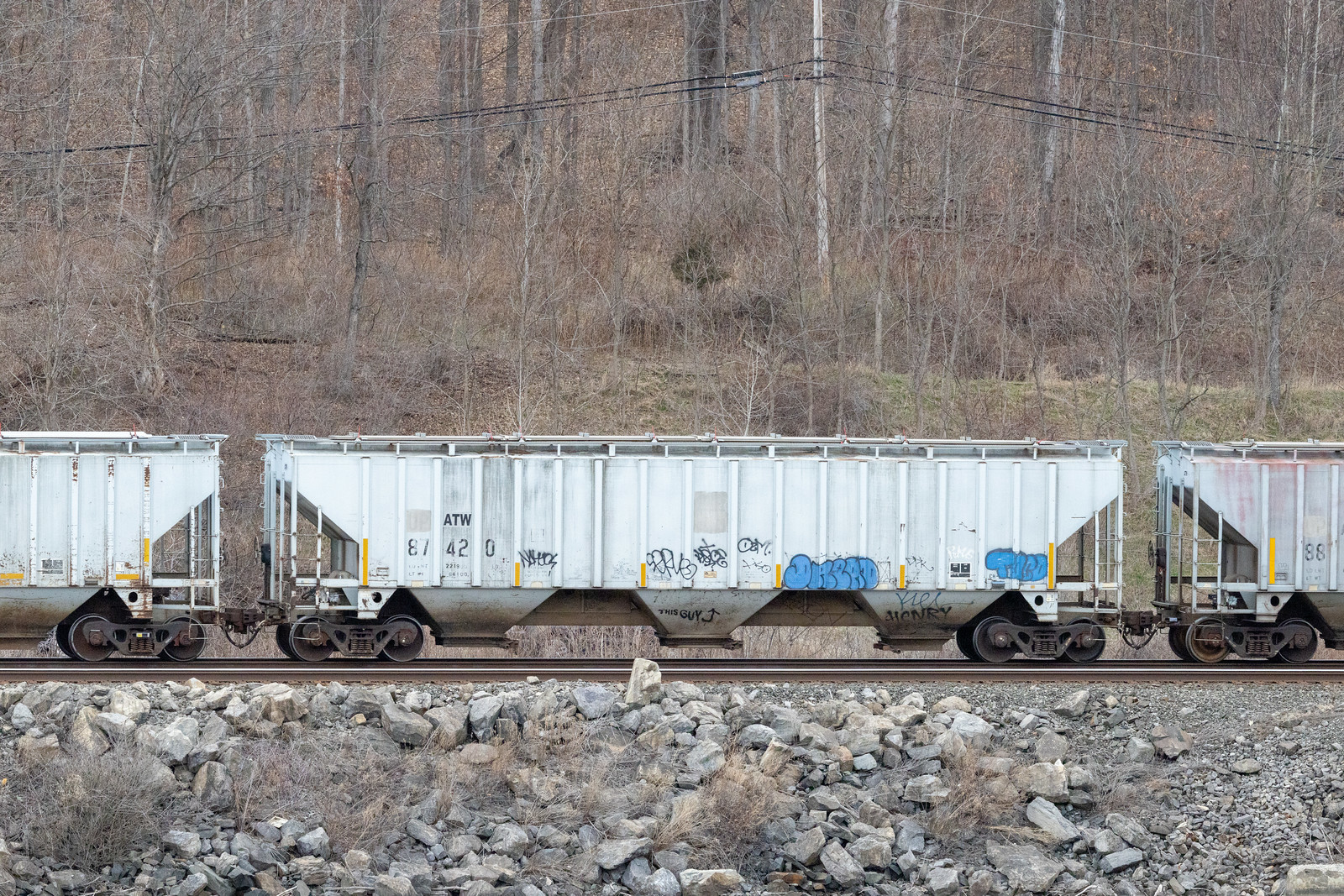 ATW 87420